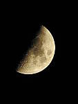 Click to see Y-P900-JG-0785.JPG