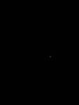 Click to see Y-P900-JG-0795.JPG