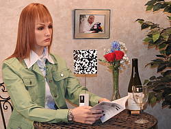 Click to see P900INBFSP0.JPG