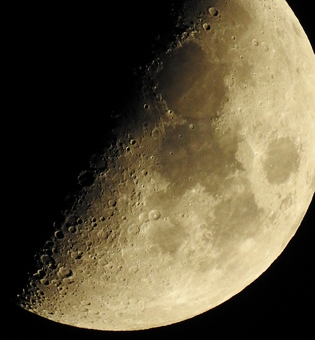 Nikon P900 Review -- Sample Image