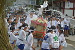 Click to see YDSC_1366.JPG