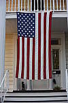 Click to see YDSC_2345.JPG