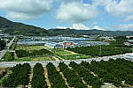 Click to see YDSC_3133.JPG