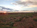 Click to see Y-DSCN0350.JPG
