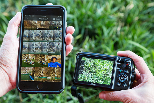 Nikon W300 Review -- Field Test Image