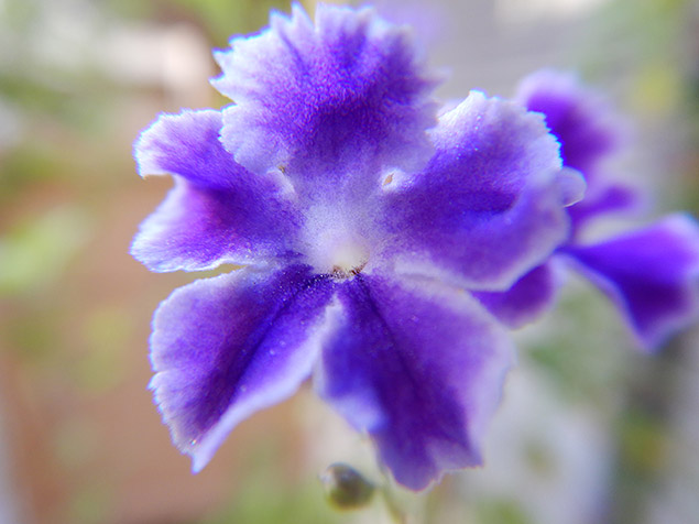 Nikon W300 Review -- Field Test Image