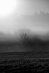 Click to see Y-JG-NIKON-Z5-0322-MOD.JPG