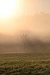 Click to see Y-JG-NIKON-Z5-0322.JPG