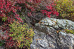 Click to see Y-JG-NIKON-Z5-0414-MOD.JPG