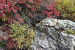 Click to see Y-JG-NIKON-Z5-0414.JPG