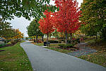 Click to see Y-JG-NIKON-Z5-0455-MOD.JPG