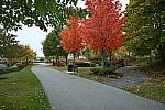 Click to see Y-JG-NIKON-Z5-0455.JPG