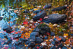 Click to see Y-JG-NIKON-Z5-0525-MOD.JPG