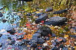 Click to see Y-JG-NIKON-Z5-0525.JPG