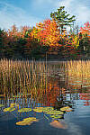 Click to see Y-JG-NIKON-Z5-0615-MOD.JPG