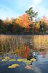 Click to see Y-JG-NIKON-Z5-0615.JPG