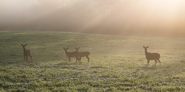 Nikon Z5 Review: Field Test -- Gallery Image