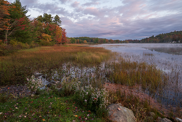 Nikon Z5 Review: Field Test -- Gallery Image