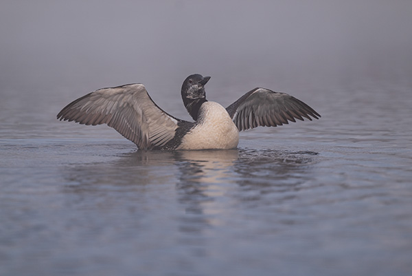 Nikon Z5 Review: Field Test -- Gallery Image