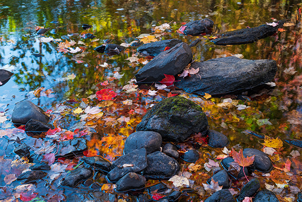 Nikon Z5 Review: Field Test -- Gallery Image