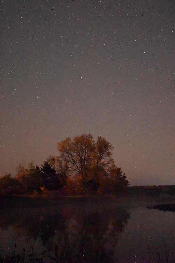 Nikon Z5 Review: Field Test -- Gallery Image