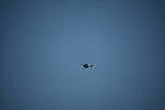 Click to see YH-beta-1375.JPG