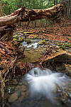 Click to see Y-JG-Z6-II-0033-MOD.JPG