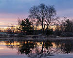 Click to see Y-JG-Z6-II-0384-MOD.JPG