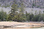 Click to see Y-JG-Z6-II-0938.JPG