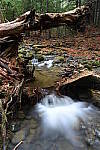 Click to see Y-JG-Z6-II-NIKON-14-24-0033.JPG