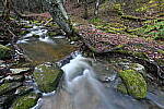 Click to see Y-JG-Z6-II-NIKON-14-24-0300.JPG