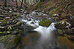 Click to see Y-JG-Z6-II-NIKON-14-24-0312.JPG