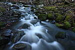 Click to see Y-JG-Z6-II-NIKON-14-24-0327.JPG