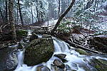 Click to see Y-JG-Z6-II-NIKON-14-24-0418.JPG
