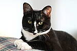 Click to see Y-JG-Z6-II-NIKON-70-200-0563.JPG