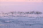 Click to see Y-JG-Z6-II-NIKON-70-200-0687.JPG