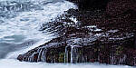 Click to see Y-JG-Z6-II-NIKON-70-200-1003-MOD.JPG