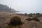 Click to see Y-JG-Z6-II-Z-20MM-1080-MOD.JPG