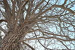 Click to see Y-JG-Z6-II-Z-28-75-0085.JPG