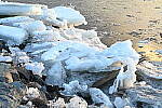 Click to see Y-JG-Z6-II-Z-28-75-0357.JPG