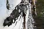 Click to see Y-JG-Z6-II-Z-28-75-0759.JPG