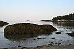 Click to see Y-JG-Z6-II-Z-35MM-1025.JPG
