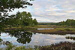 Click to see Y-JG-Z6-II-Z-35MM-1122.JPG