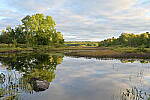 Click to see Y-JG-Z6-II-Z-35MM-1125.JPG