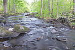 Click to see Y-JG-Z6-II-Z-35MM-1143.JPG