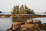 Click to see Y-JG-Z6-II-Z-85MM-1033.JPG