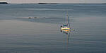 Click to see Y-JG-Z6-II-Z-85MM-1037-MOD.JPG