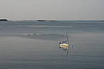 Click to see Y-JG-Z6-II-Z-85MM-1037.JPG