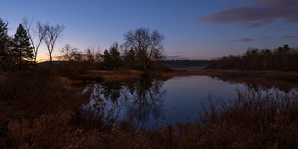 Nikon Z6 II Review: Field Test -- Gallery Image