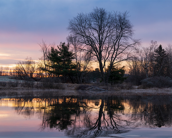 Nikon Z6 II Review: Field Test -- Gallery Image